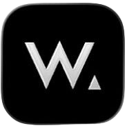 W컨셉